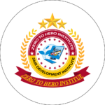 Zero To Hero Institute